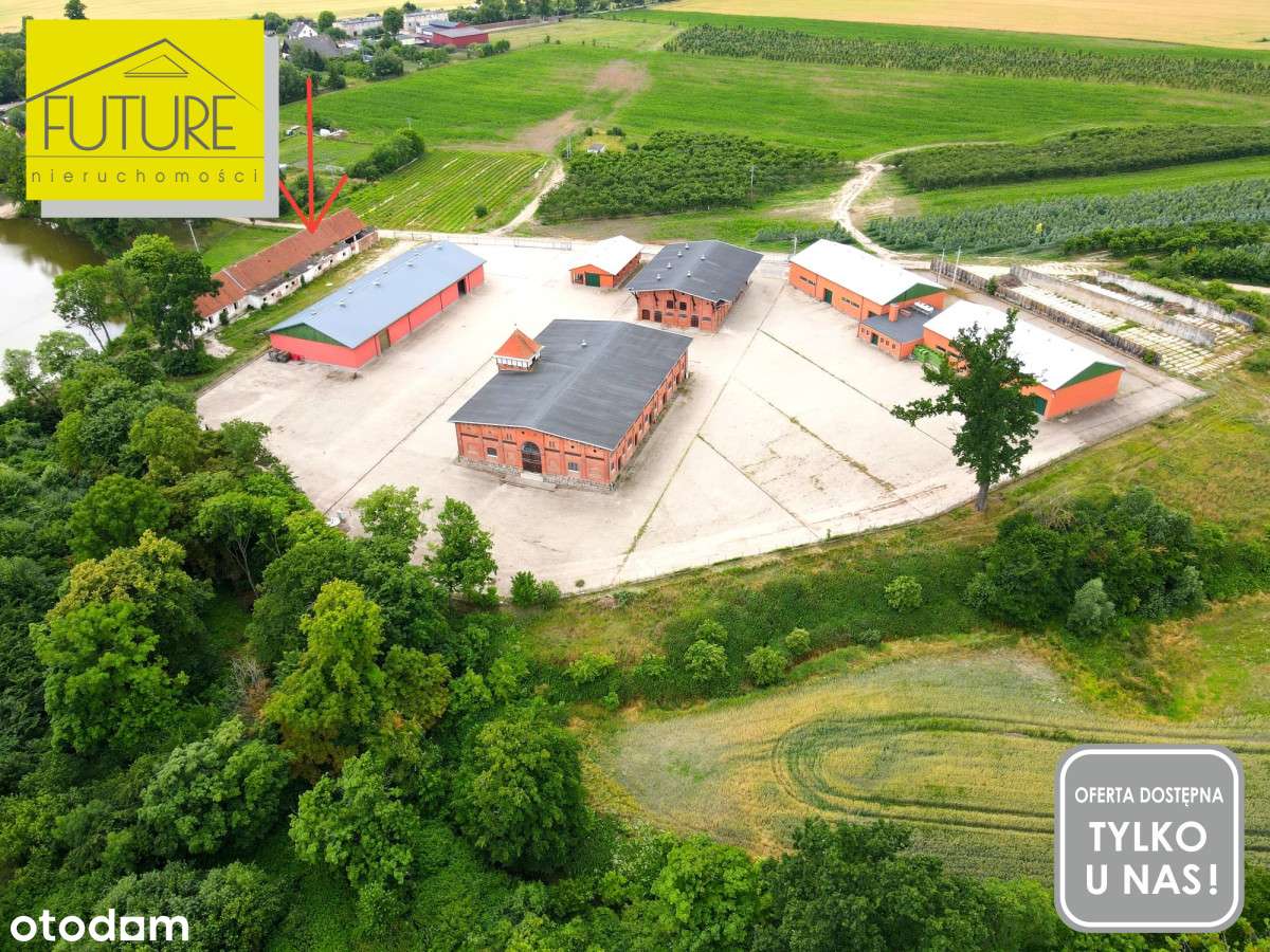 Budynek gospodarczy Wysoka koło Pasłęka - Pełny obrazek: 4/9