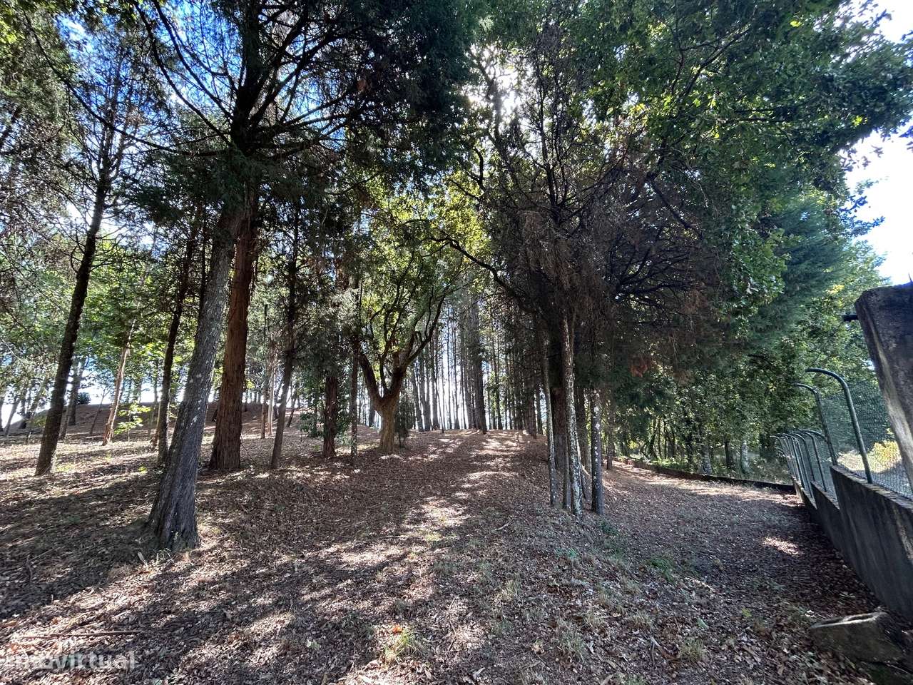 Quinta T6, Viseu, Santa Comba Dão, Santa Comba Dão e Couto do Mosteiro-55