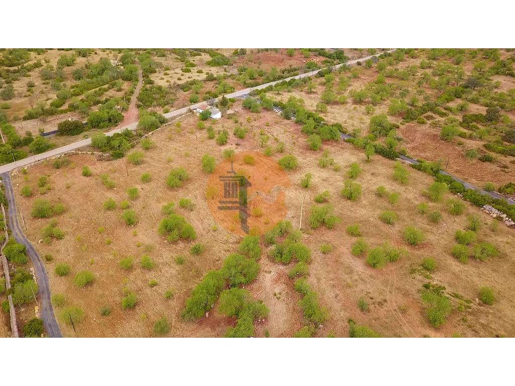 Moradia típica com terreno agrícola em Santa Catarina da Fonte do B... - Grande imagem: 5/45
