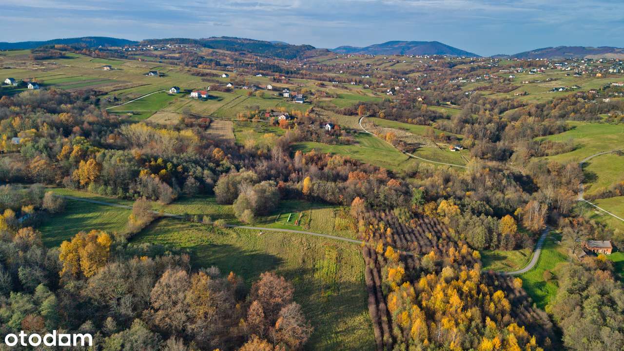 Działka rolna 3,5 ha - TRZETRZEWINA - Pełny obrazek: 5/10