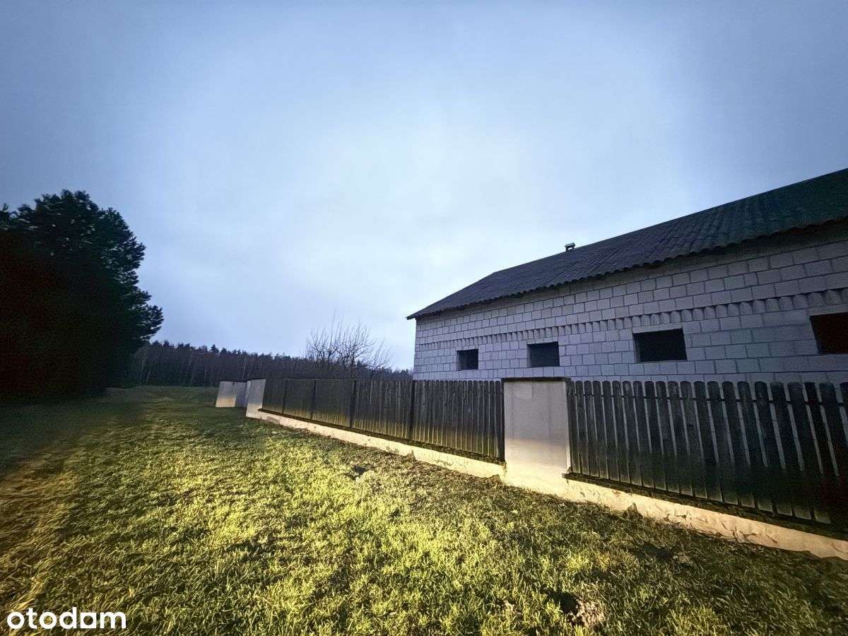 Okazja! Duża działka rolna w Borkowie 9802m2-7