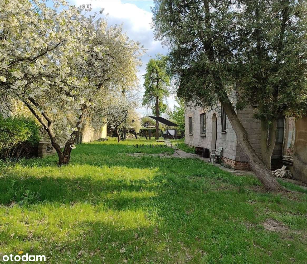 Nieruchomość z domem do remontu lub wyburzenia-1