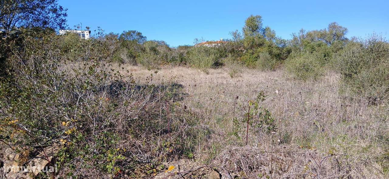 Terreno Rústico - Grande imagem: 4/9