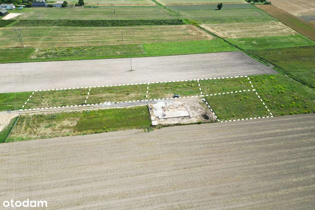 256/9020/OGS - Pełny obrazek: 5/12