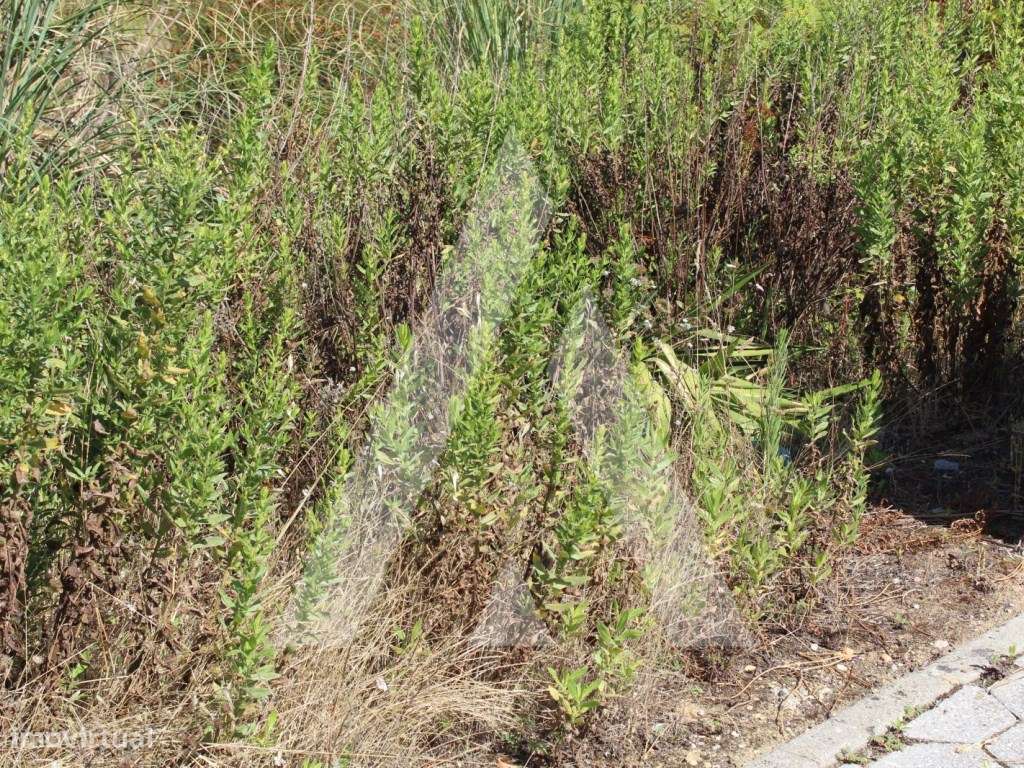 Terreno em Águeda - Grande imagem: 4/7