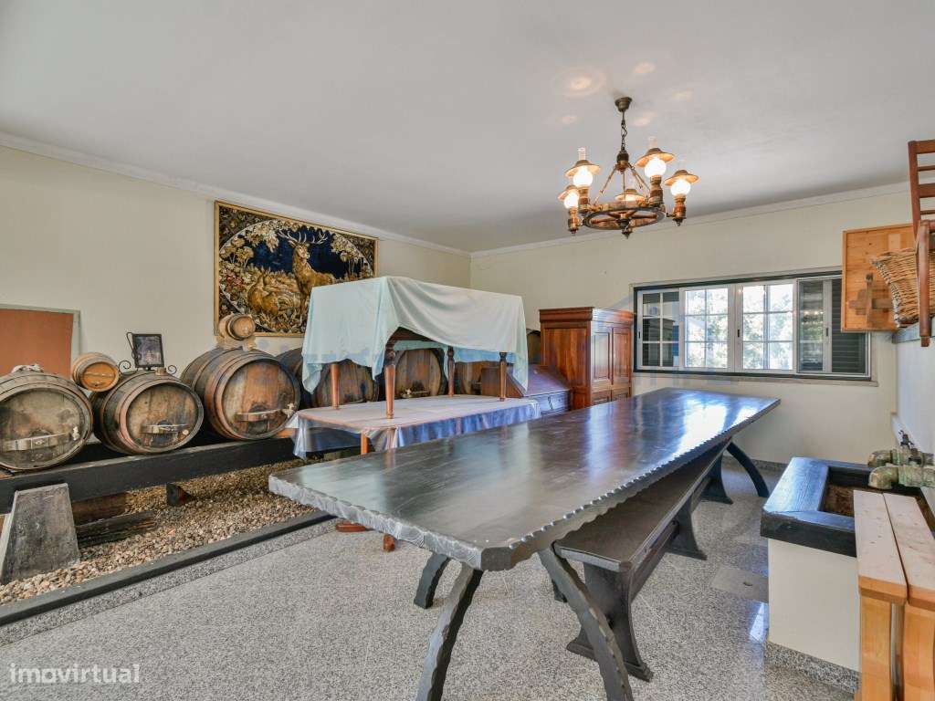 Quinta com 3,14 Hectares e Piscina | Ferreira do Zêzere-9