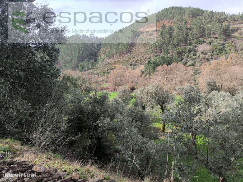 Terrenos a confinar com ribeira - Pomar-13