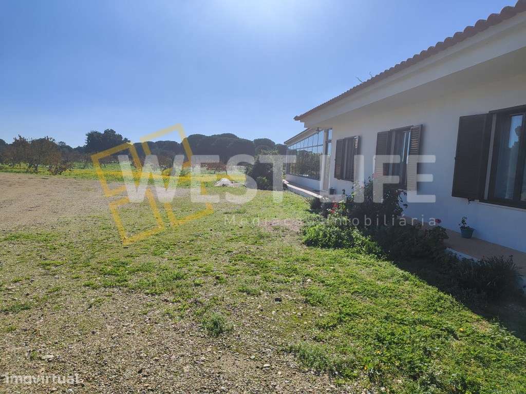 Herdade situada em pleno coração alentejano - 15 Hectares de terren... - Grande imagem: 4/23