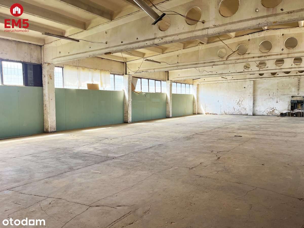 Magazyn, produkcja.  700 m2 - Pełny obrazek: 5/11