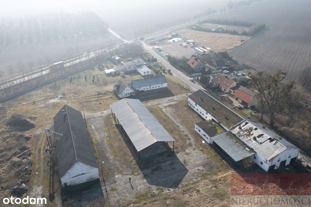 Z potencjałem przy drodze 187 i obwodnicy Szamotuł - Pełny obrazek: 3/8