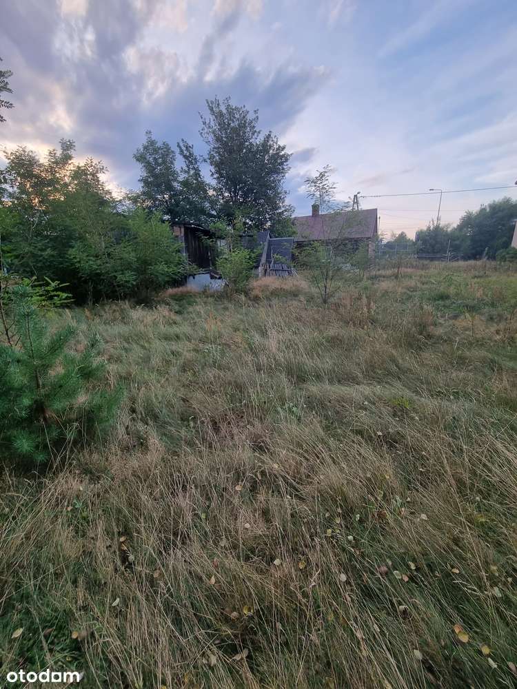 Dom 50 m2 na działce 6000 m2 Gatniki k/ Sielpi-18