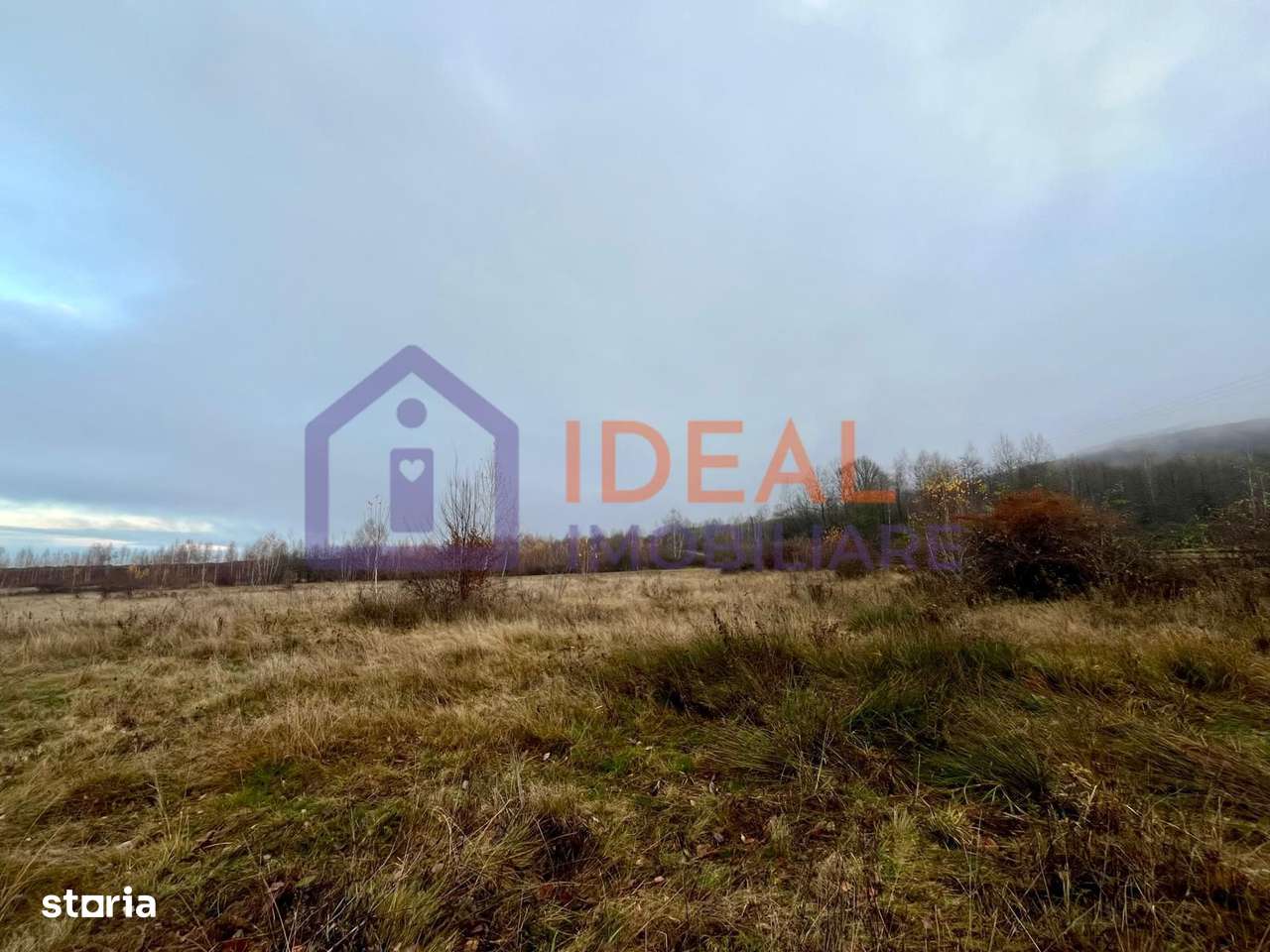 Teren extravilan 6.500 mp – două căi de acces, Cârțișoara-2