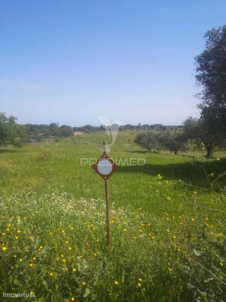 Terreno com mais de 5 hectares para venda em Ferreira do Alentejo - Grande imagem: 5/12