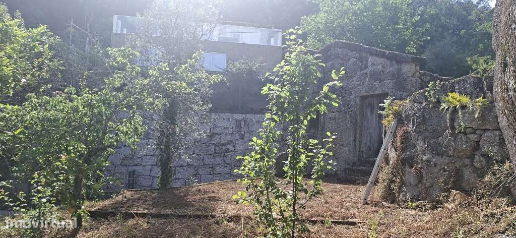 Terreno c/ Sequeira p/ Restauro  - Bouro Santa Marta-8