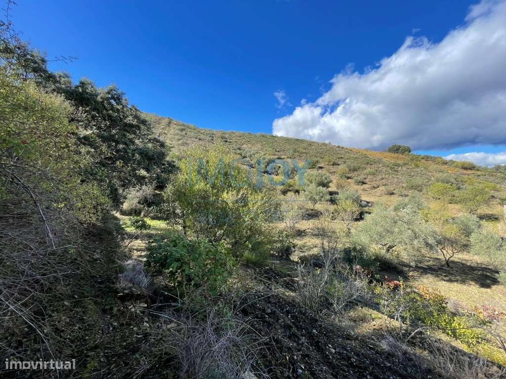 Terreno Rústico em Vila Nova de Foz Côa no Douro - Grande imagem: 2/21