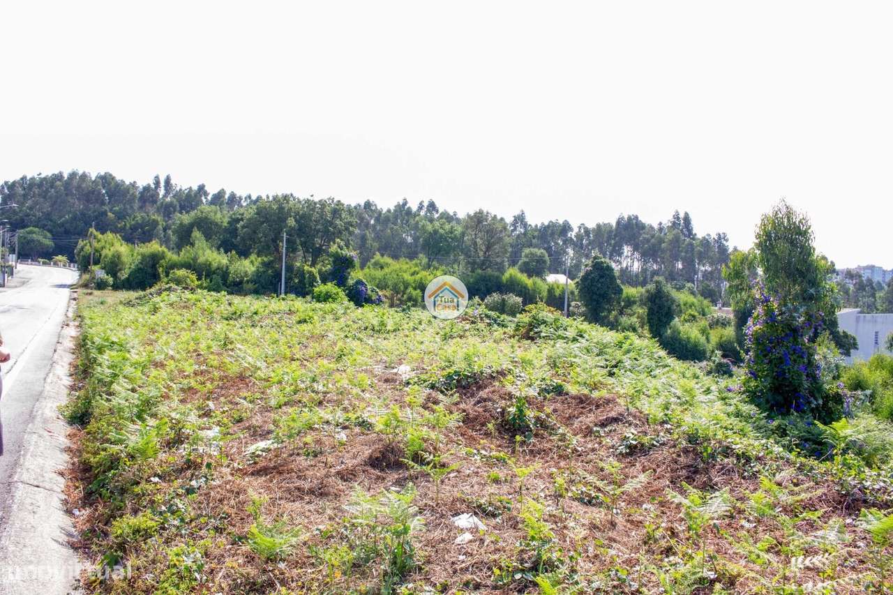 Terreno para Venda em São Paio de Oleiros – Oportunidade de Investimen - Grande imagem: 5/12