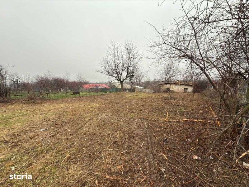 Teren intravilan in Sisterea, comuna Cetariu - Imagine principală: 5/8