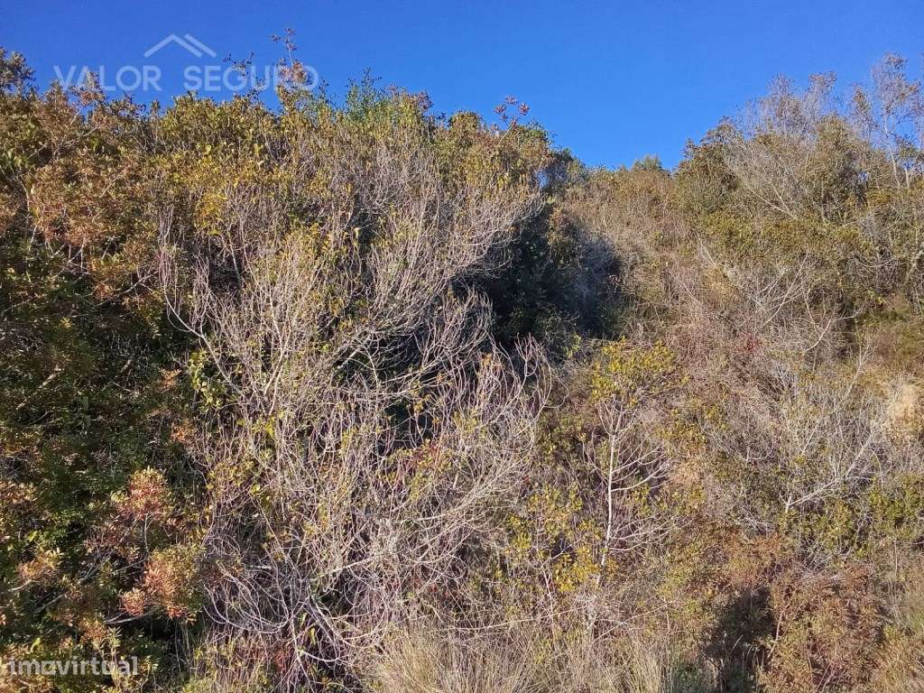 Terreno rústico em Vale Serrão, Pereiro de Palhacana, Alenquer-24