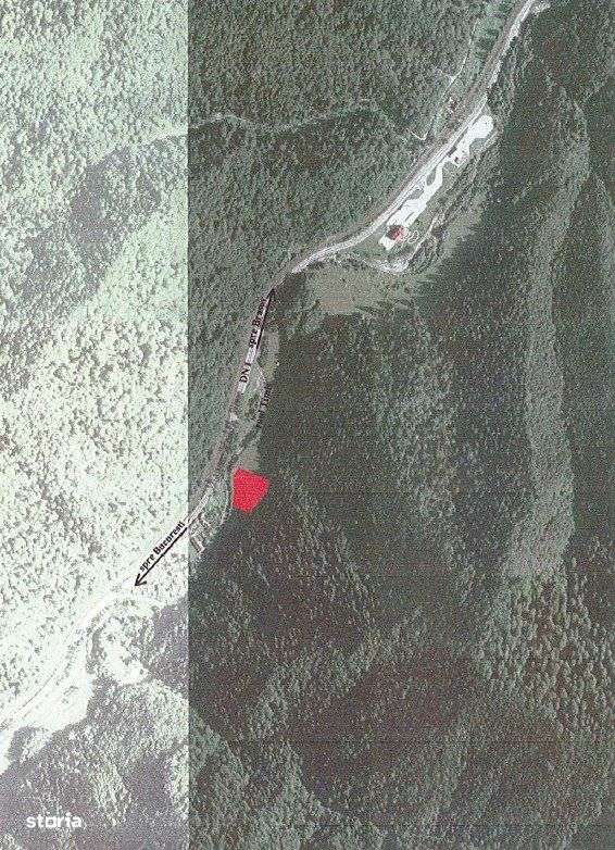 Timisu de Jos, Valea Barbului - Petrom -Teren  intravilan de 4,500 mp. - Imagine principală: 3/8