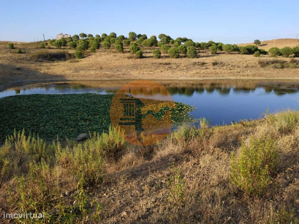 TERRENO COM 53.520 M2 - VISTA MAR - COM LAGO - POSSIBILIDADE DE CON... - Grande imagem: 3/60
