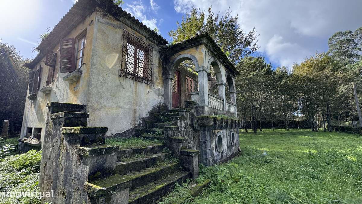 Ruína  9700m2 - vedada em pedra - Vila Cova-3