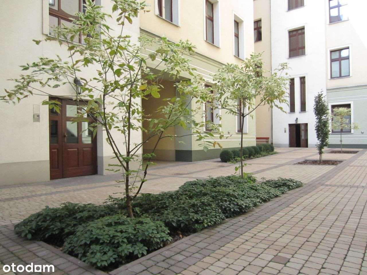ekskluzywna kamienica|apartament 63m2|centrum Łódź - Pełny obrazek: 3/16