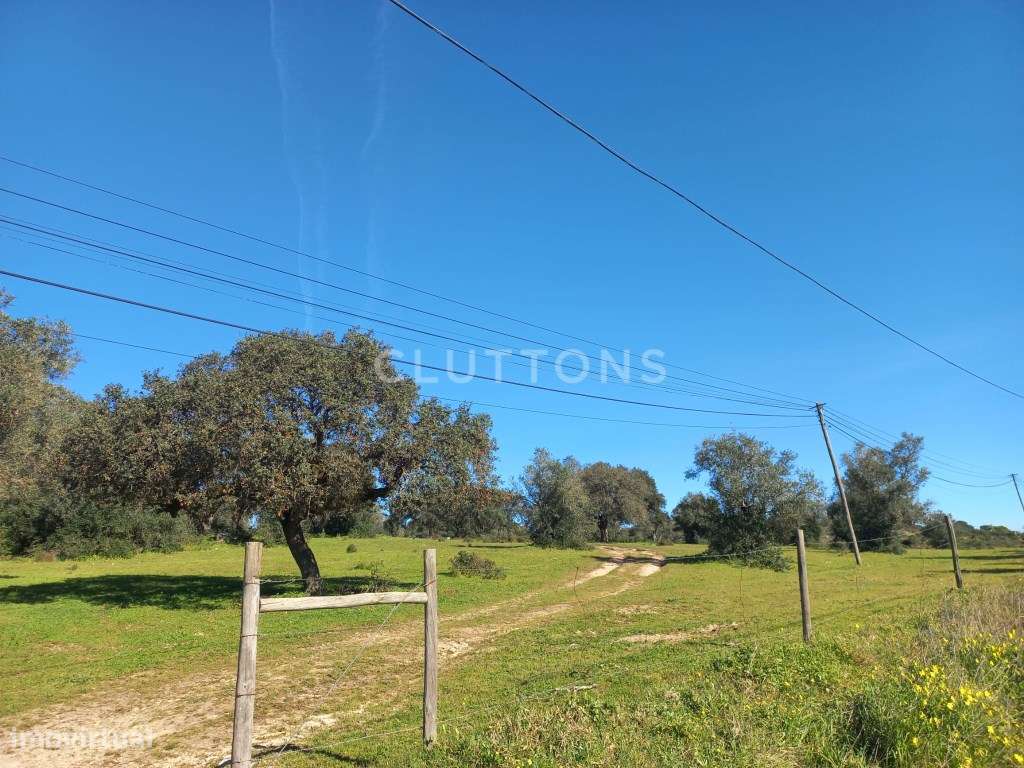Terreno - Quinta, Investimento, 12 hectares e 844 m2 edificados, Évora-3