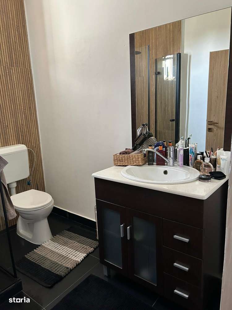 Casa deosebita la 15 min de Arad-13