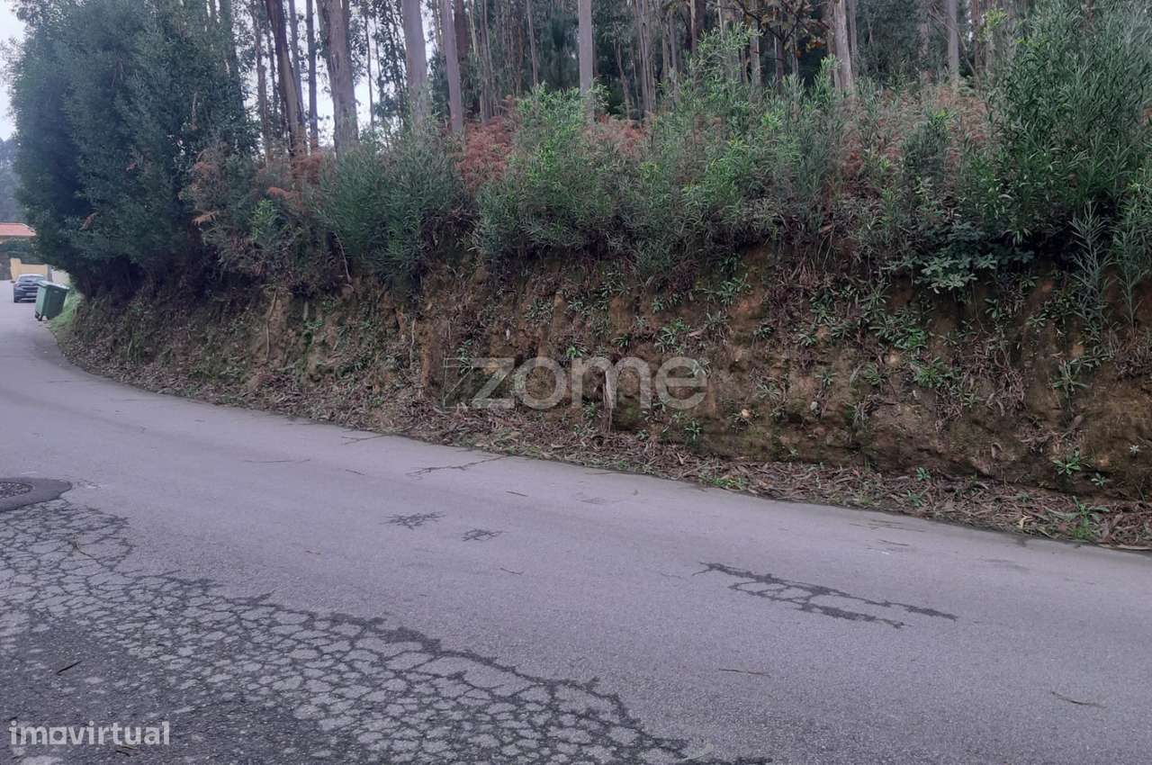 Terreno Rústico com 5165m2, em Salgueiro, Oliveira de Azeméis - Grande imagem: 4/6