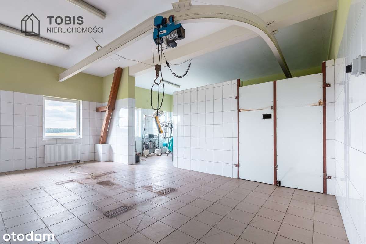 Stadnina z ogromnym potencjałem!-17