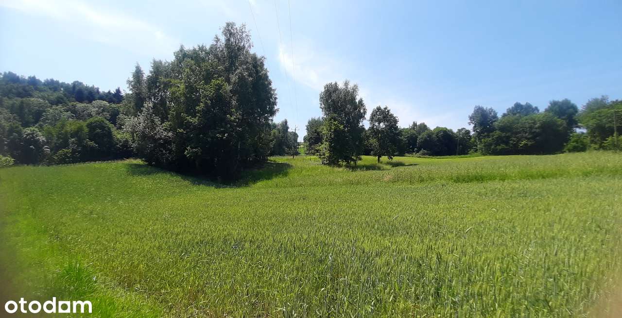 Widokowa działka Lanckorona, przy centrum, budowlana 30 arów - Pełny obrazek: 5/6