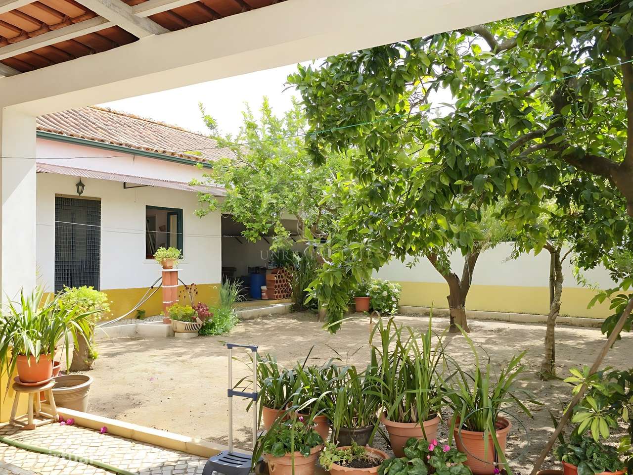 Moradia T3 Térrea Isolada com Jardim, Garagem e Churrasqueira | a 5 Mi-12