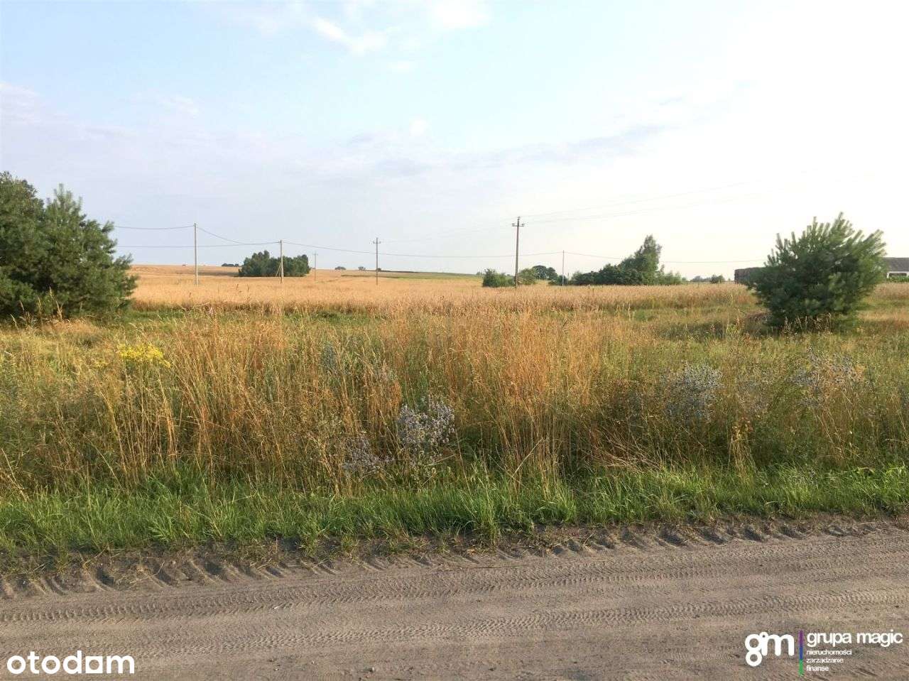 Działki działka Małszyce - warunki zabud. - Las - Pełny obrazek: 4/5