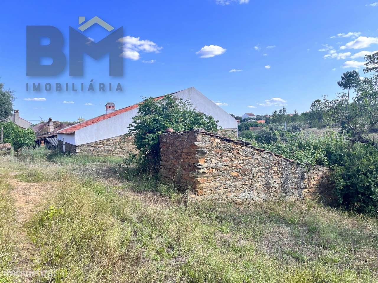 Moradia T3 Venda em Santo André das Tojeiras,Castelo Branco-18