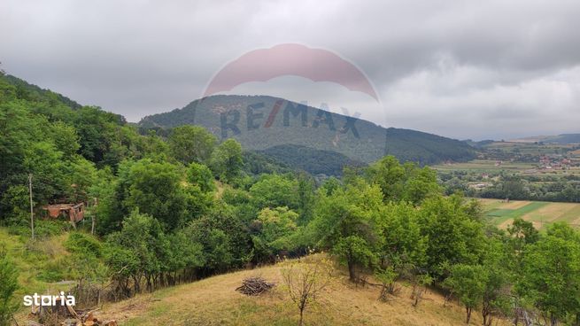 Casă de vacanta cu 6 camere de vanzare Suncuius-15
