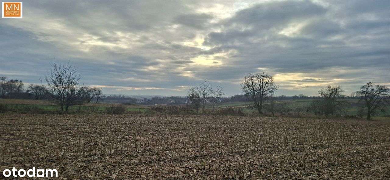 Morawica,Liszki, działka z pozwolniem - Pełny obrazek: 1/20