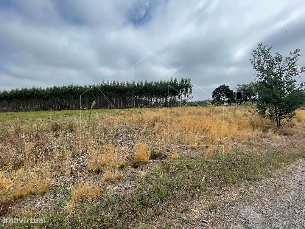 Terreno - Águeda - Grande imagem: 5/5