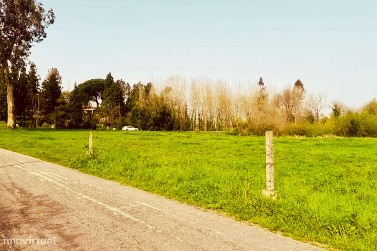 Terreno para construção em Aguada de Cima - Águeda-15