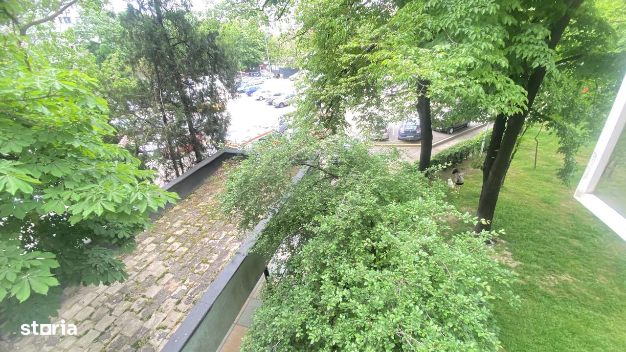 Dristor, Park Lake.-7