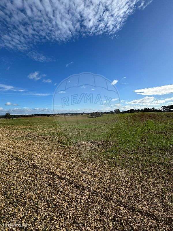 Terreno  para venda - Grande imagem: 5/22