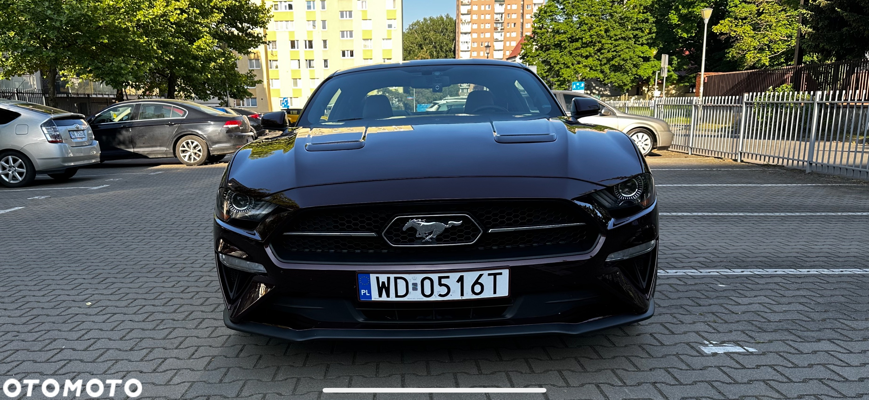Ford Mustang 2.3 EcoBoost - 20
