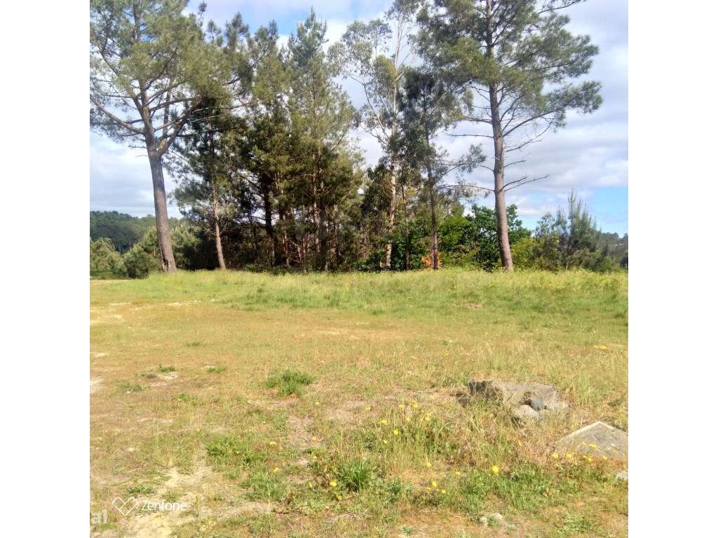 Terreno de Construção em Gondar - Grande imagem: 4/5