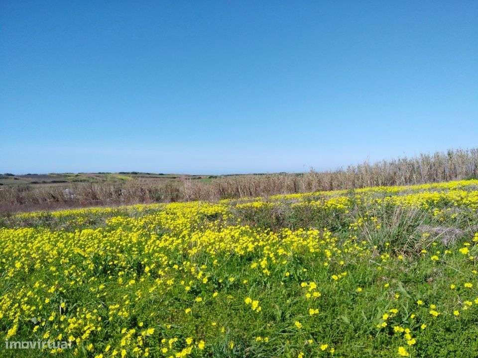 Terreno com grande dimensão e enorme potencial junto ao mar - Grande imagem: 5/17