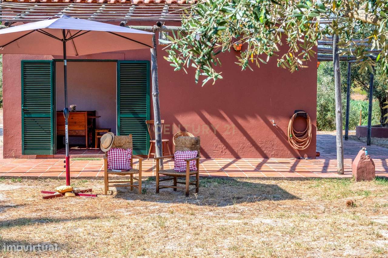 Moradia em Farinha Branca, Montargil-23