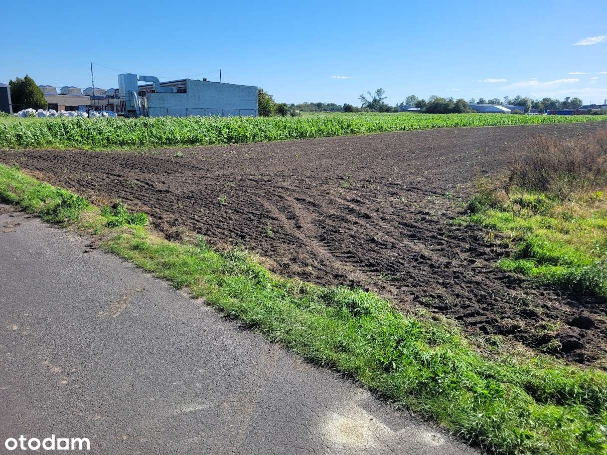Działka z planem zagospodarowania - budowa Hali 400m - Pełny obrazek: 3/6