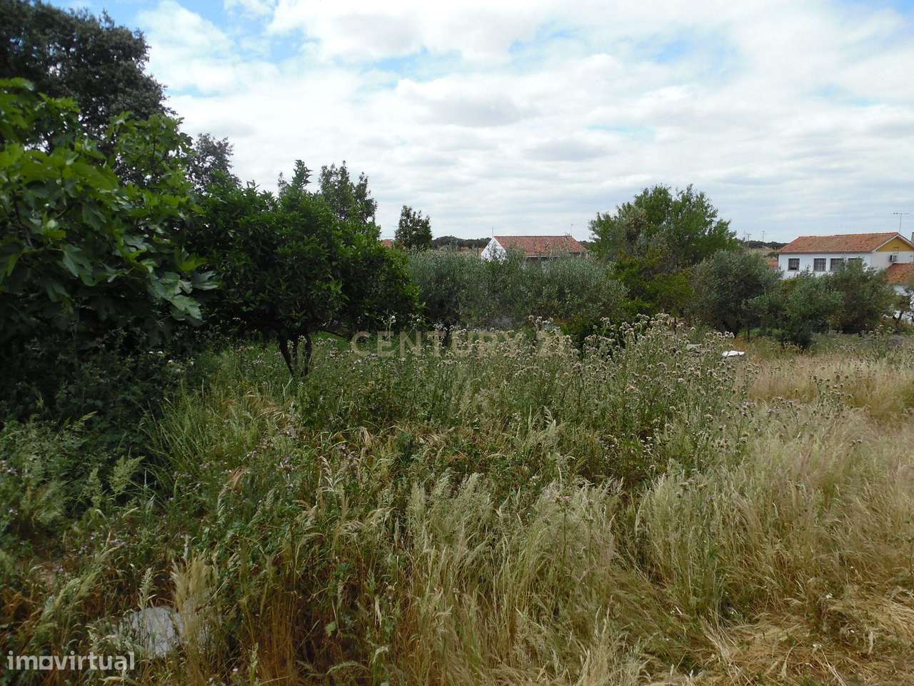 Quinta em Capelins,  Alandroal - Évora,  Oportunidade Única-16