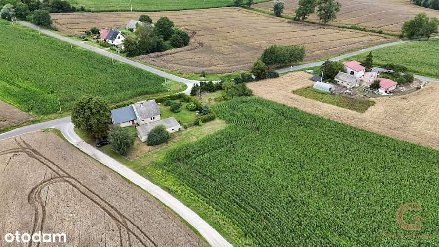 Atrakcyjna działka  w Oborach - doskonała inwestyc - Pełny obrazek: 4/8