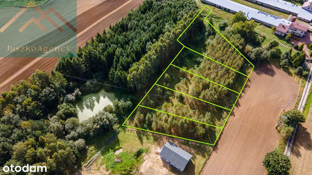 Rychnowo. Działki przy lesie z warunkami zabudowy.-14