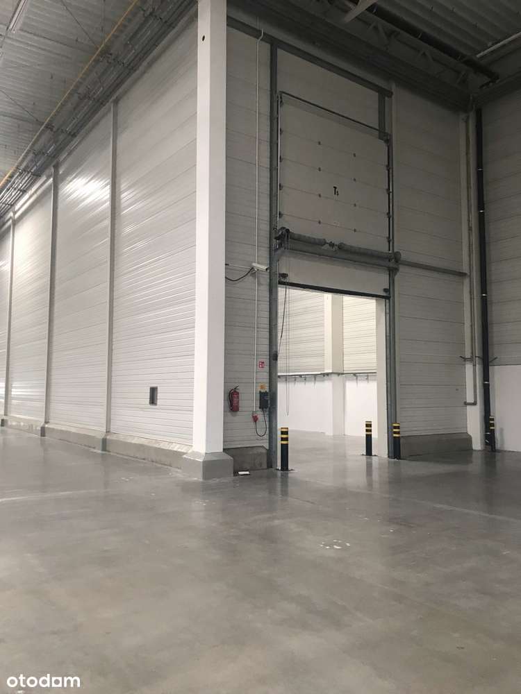 Hala magazynowa na wynajem, Komorniki - Pełny obrazek: 5/6