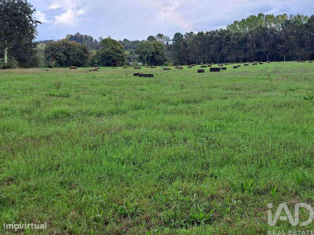 Terreno em Palmeira de 36000,00 m2 - Grande imagem: 5/21